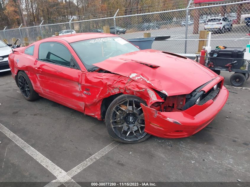 2013 FORD MUSTANG GT - 1ZVBP8CF2D5235167