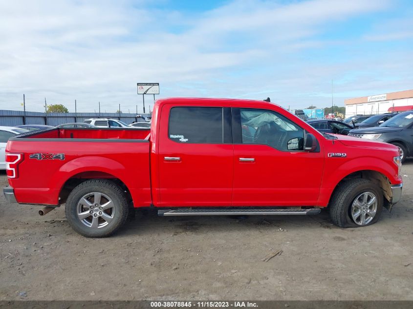 2019 FORD F-150 XLT - 1FTEW1EP1KKD02596