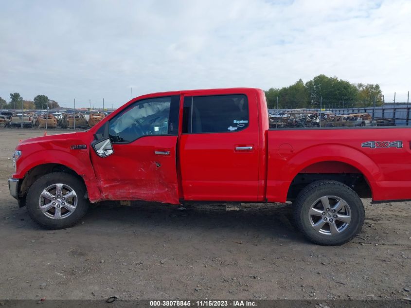 2019 FORD F-150 XLT - 1FTEW1EP1KKD02596