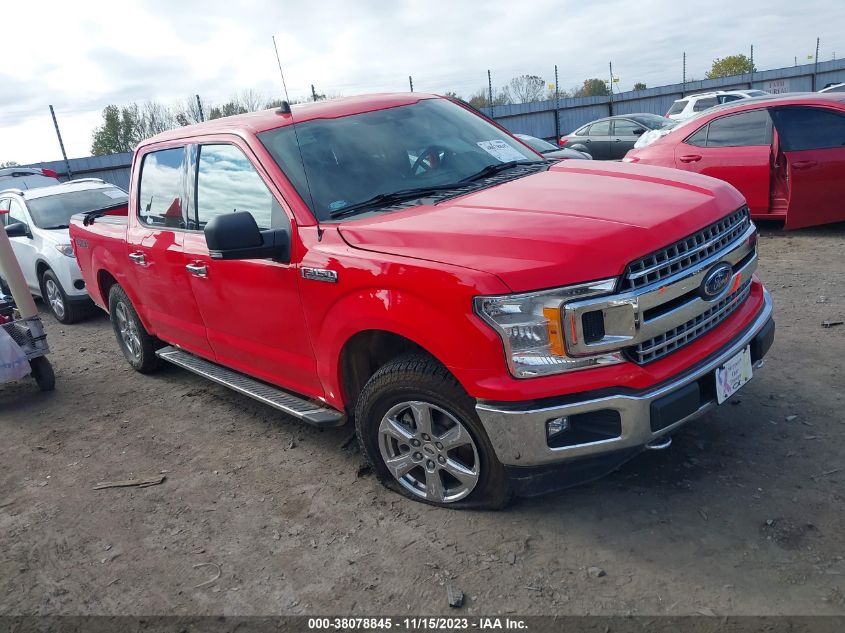 2019 FORD F-150 XLT - 1FTEW1EP1KKD02596