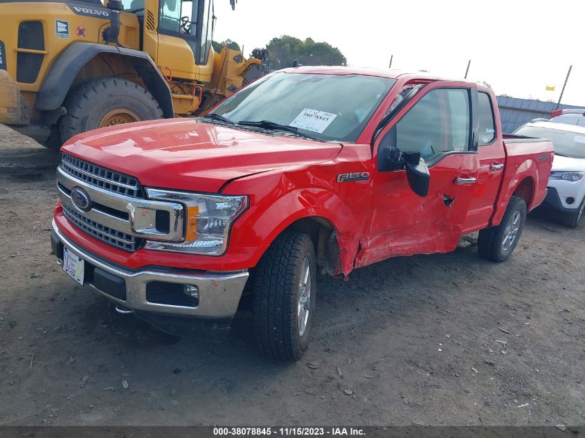 2019 FORD F-150 XLT - 1FTEW1EP1KKD02596