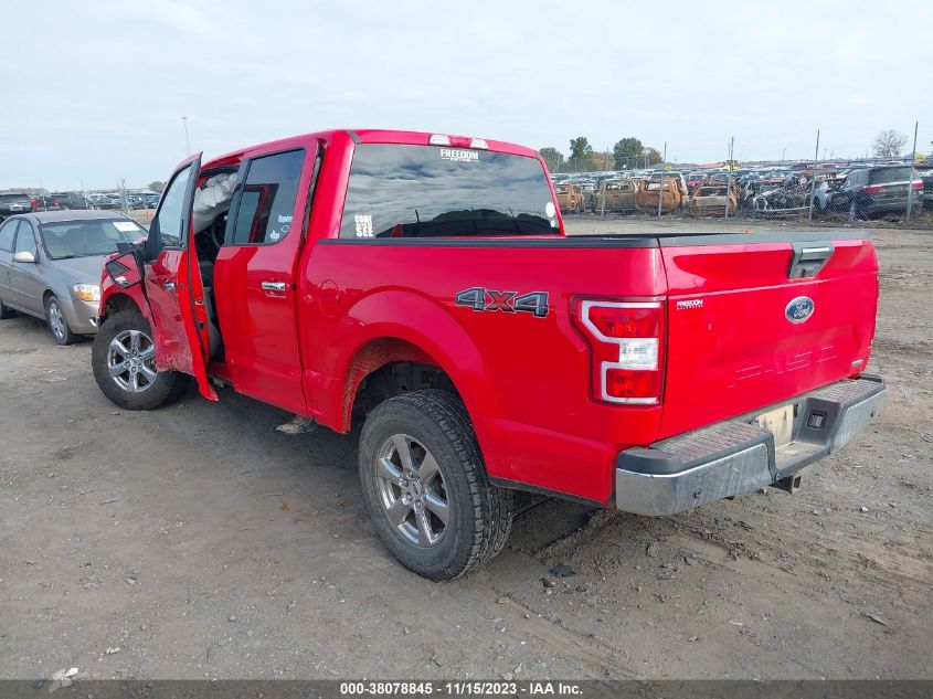 2019 FORD F-150 XLT - 1FTEW1EP1KKD02596