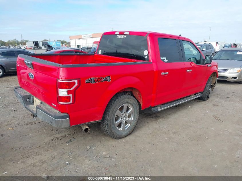 2019 FORD F-150 XLT - 1FTEW1EP1KKD02596