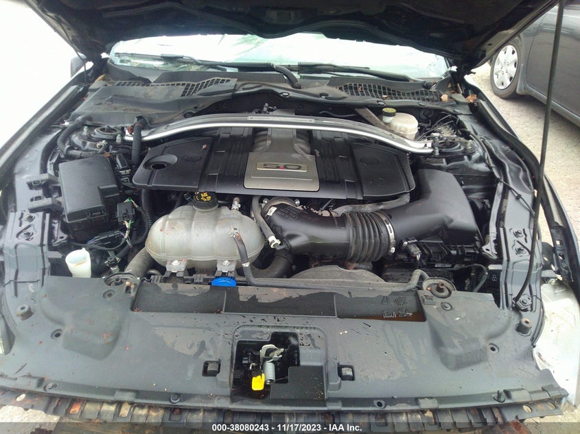VIN 1FA6P8CF9L5170097 2020 FORD MUSTANG GT
