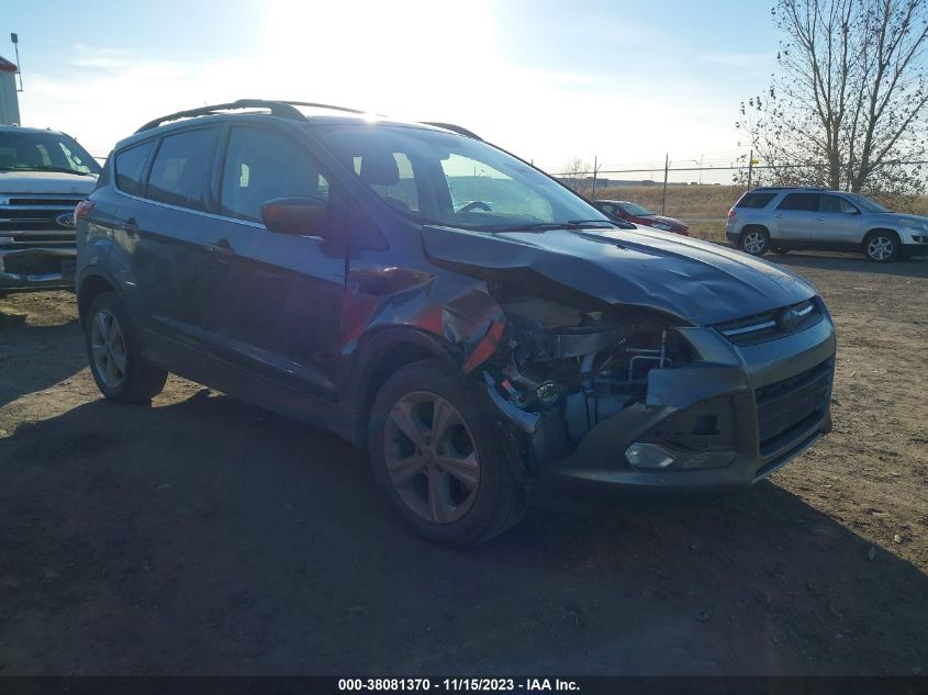 2014 FORD ESCAPE SE - 1FMCU9G96EUD94514