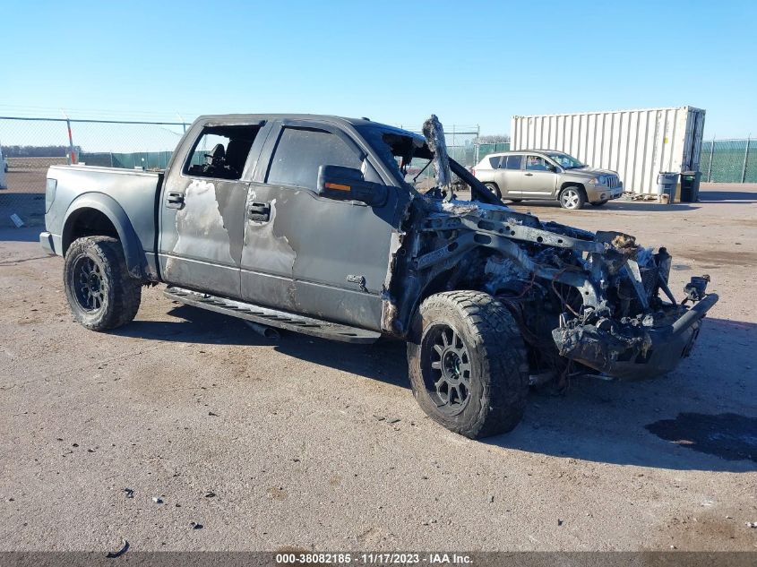 2014 FORD F-150 SVT RAPTOR - 1FTFW1R65EFB98794