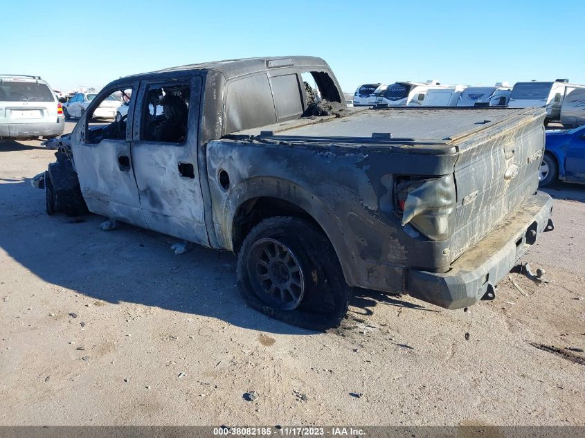 2014 FORD F-150 SVT RAPTOR - 1FTFW1R65EFB98794