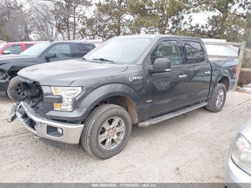 2015 FORD F-150 XLT - 1FTEW1EP5FFC94078