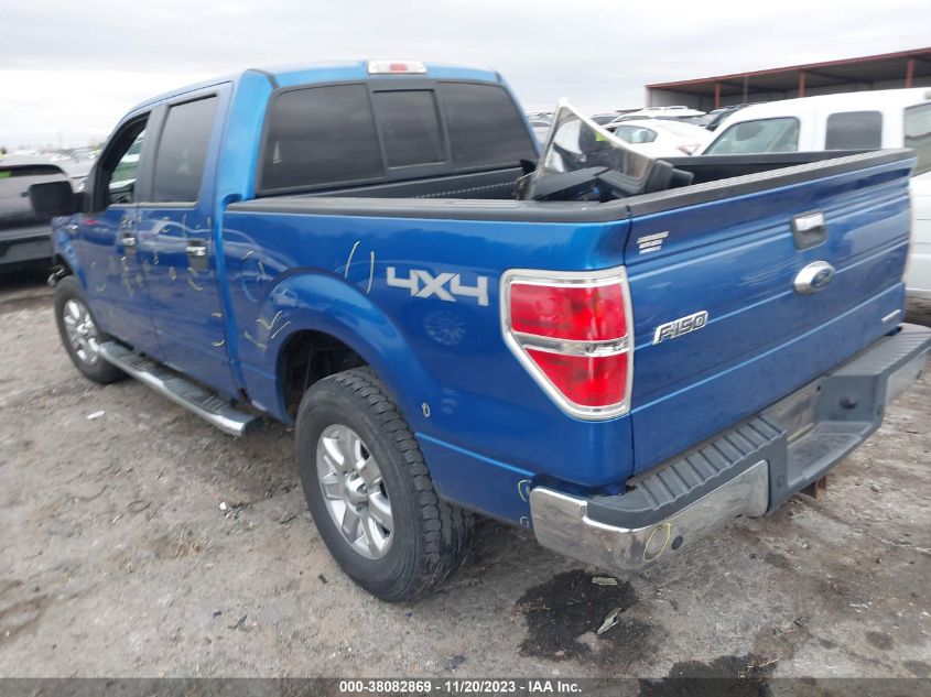 2013 FORD F-150 XLT - 1FTFW1EF4DFA41536