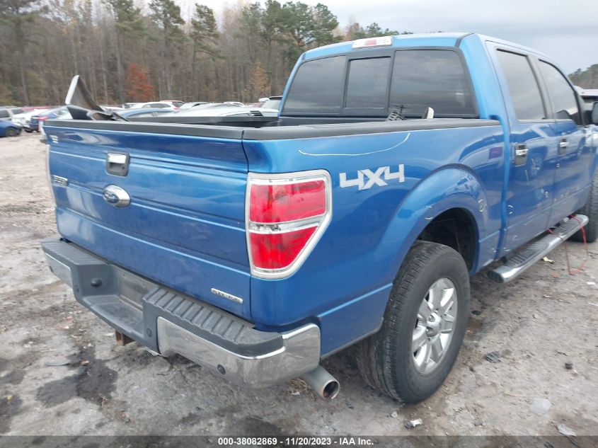 2013 FORD F-150 XLT - 1FTFW1EF4DFA41536