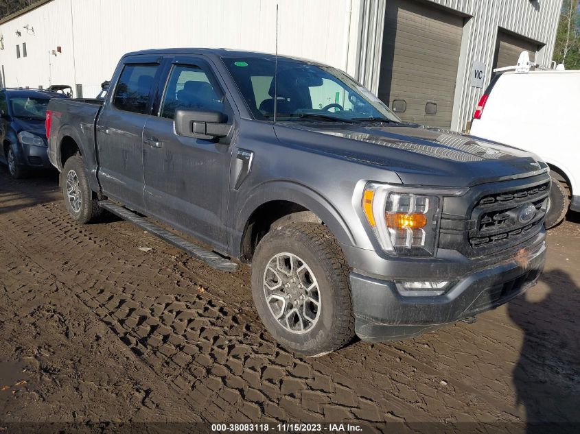 2023 FORD F-150 XLT - 1FTFW1E88PFC21303