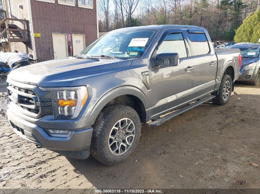 2023 FORD F-150 XLT - 1FTFW1E88PFC21303