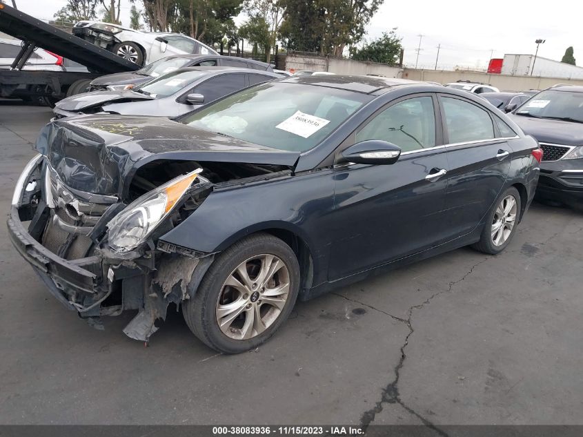 2013 HYUNDAI SONATA LIMITED - 5NPEC4AC9DH783924