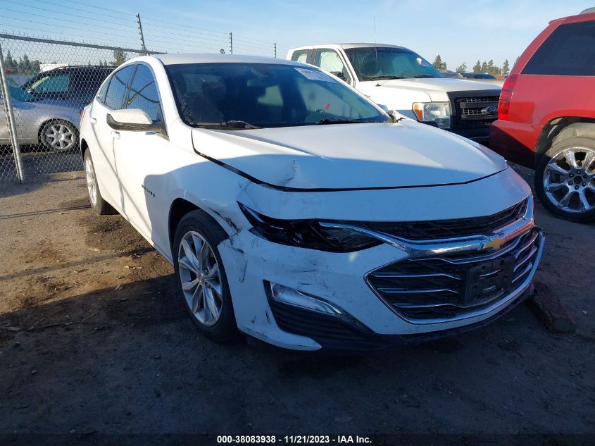 Lot #2544994051 2019 CHEVROLET MALIBU LT salvage car