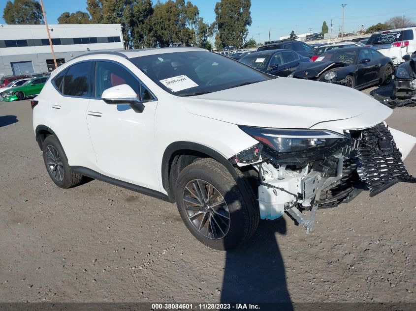 2024 LEXUS NX 250 - JTJADCAZ4R5015718