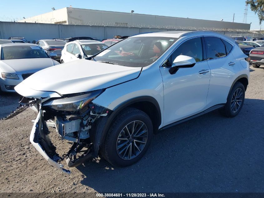 2024 LEXUS NX 250 - JTJADCAZ4R5015718