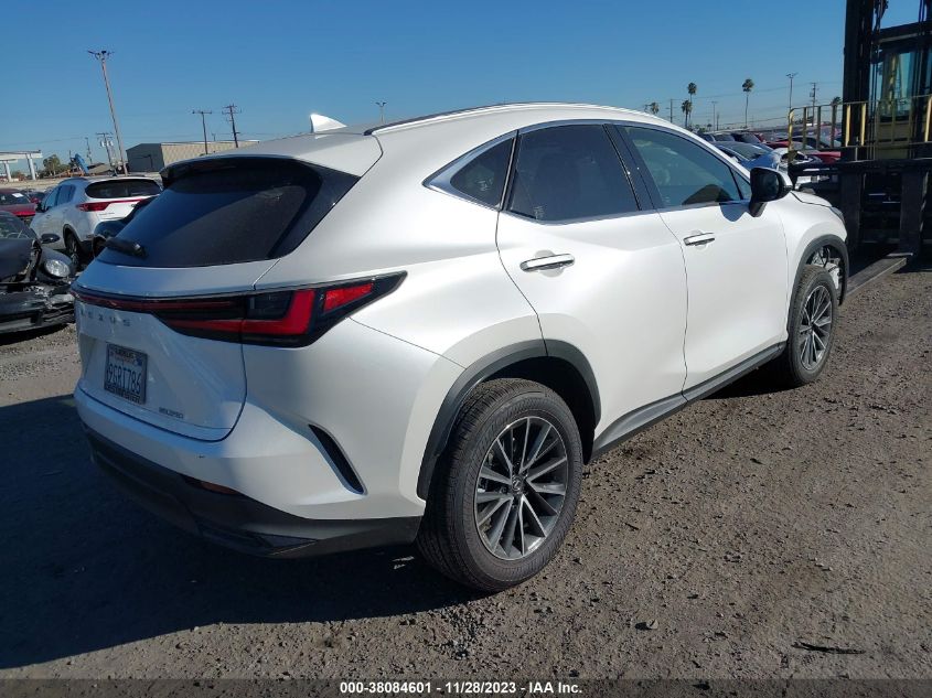 2024 LEXUS NX 250 - JTJADCAZ4R5015718