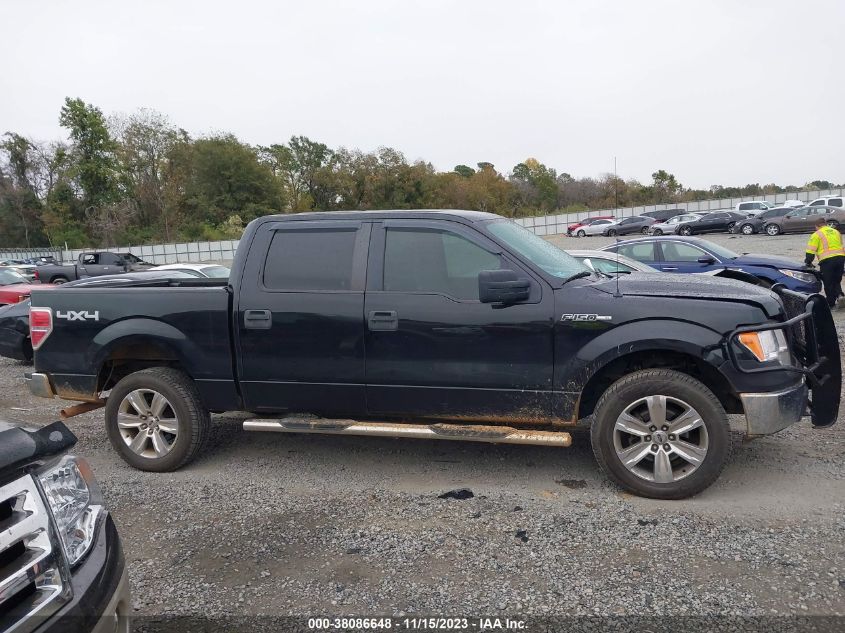 2013 FORD F-150 XL - 1FTFW1EF6DKG16808