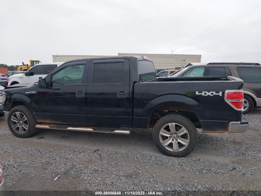 2013 FORD F-150 XL - 1FTFW1EF6DKG16808