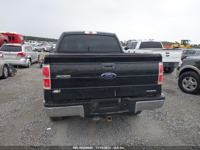 2013 FORD F-150 XL - 1FTFW1EF6DKG16808