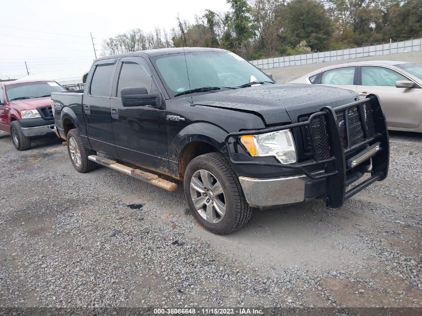 2013 FORD F-150 XL - 1FTFW1EF6DKG16808