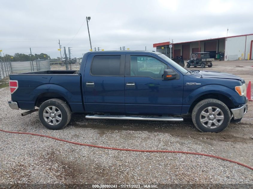 2013 FORD F-150 XLT - 1FTEW1CM9DKD06262