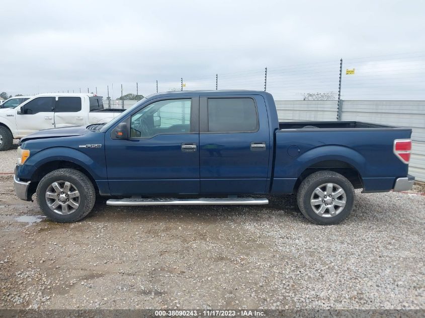 2013 FORD F-150 XLT - 1FTEW1CM9DKD06262