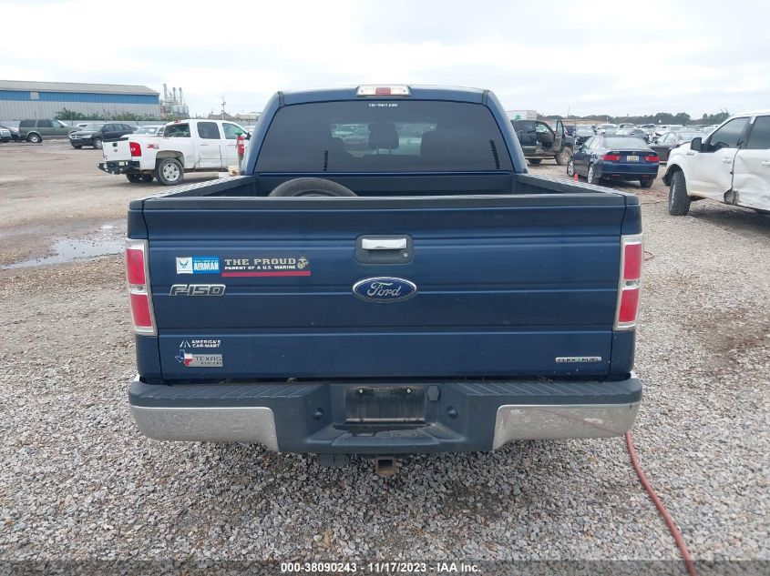 2013 FORD F-150 XLT - 1FTEW1CM9DKD06262