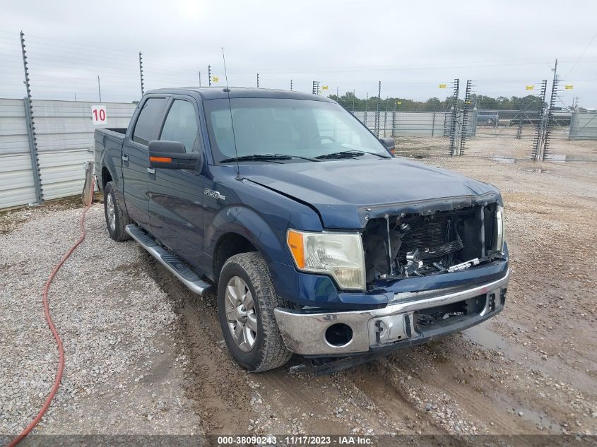 2013 FORD F-150 XLT - 1FTEW1CM9DKD06262