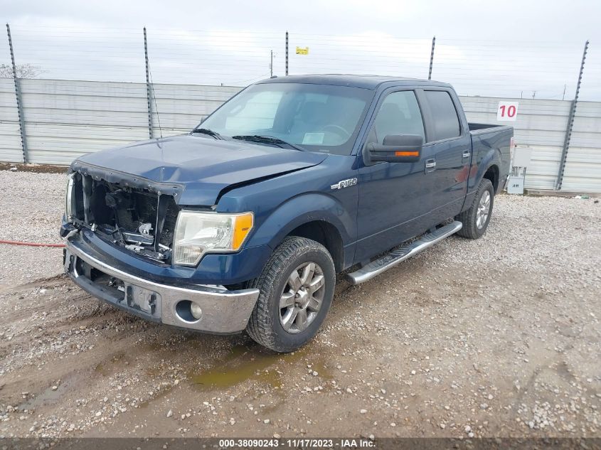 2013 FORD F-150 XLT - 1FTEW1CM9DKD06262