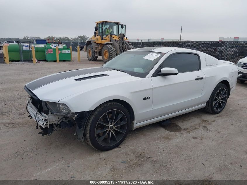 2014 FORD MUSTANG GT - 1ZVBP8CF5E5294571