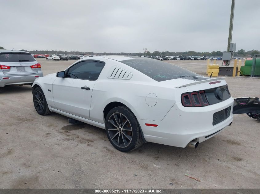 2014 FORD MUSTANG GT - 1ZVBP8CF5E5294571