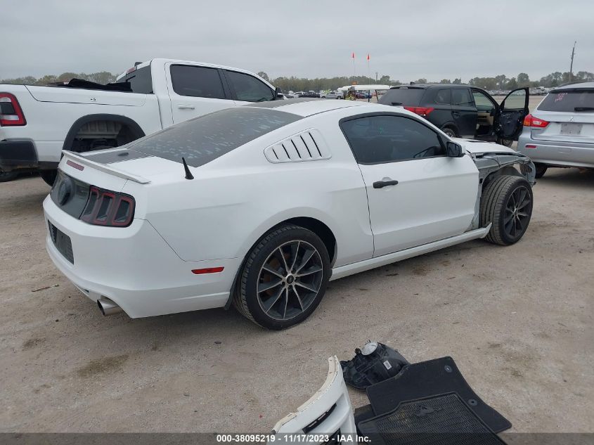 2014 FORD MUSTANG GT - 1ZVBP8CF5E5294571