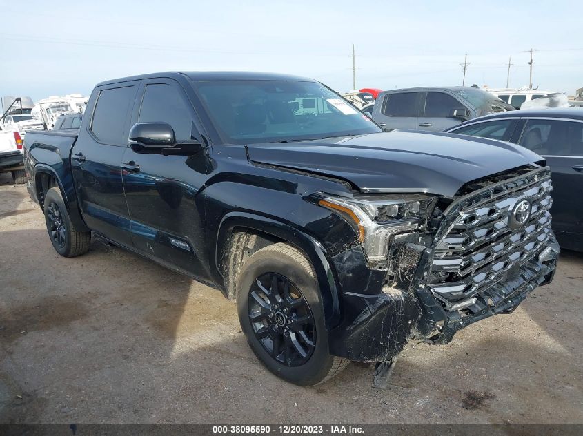 2023 Toyota Tundra - 5TFNA5DB1PX121696