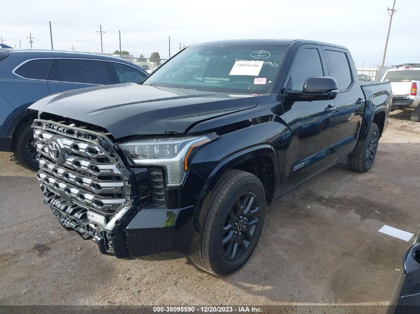 2023 Toyota Tundra - 5TFNA5DB1PX121696