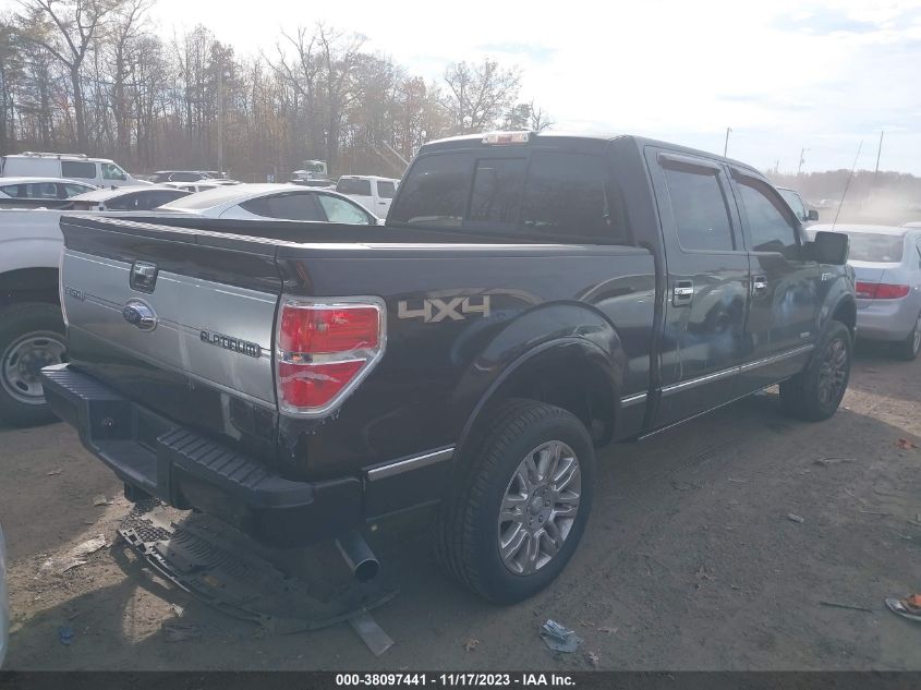 2013 FORD F-150 PLATINUM - 1FTFW1ET1DFA57683