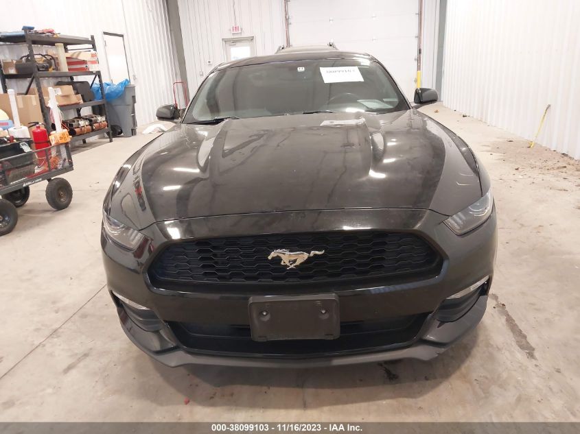 1FA6P8AM9H5339558 2017 FORD MUSTANG, photo no. 12