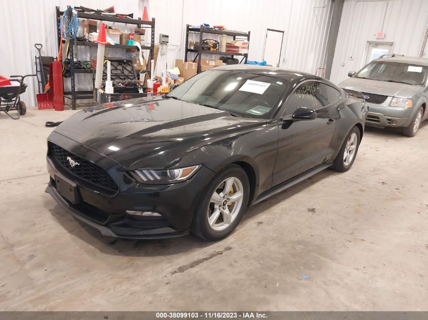 1FA6P8AM9H5339558 2017 FORD MUSTANG, photo no. 2