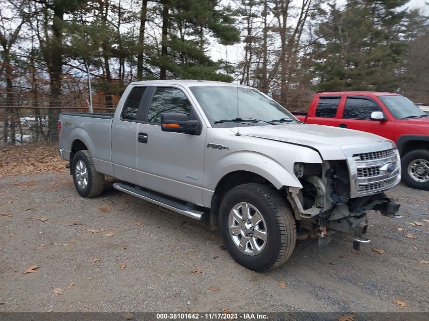 2014 FORD F-150 XL/XLT/LARIAT/FX4 - 1FTFX1ETXEFC14173