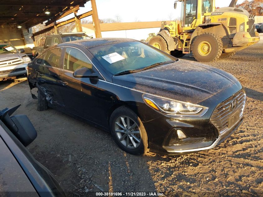 2019 HYUNDAI SONATA SE - 5NPE24AF4KH794243