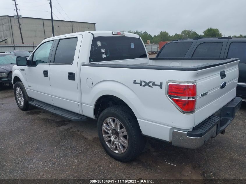 2013 FORD F-150 XLT - 1FTFW1ET0DKF37589