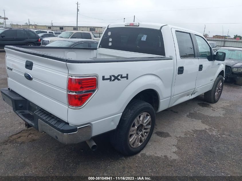 2013 FORD F-150 XLT - 1FTFW1ET0DKF37589