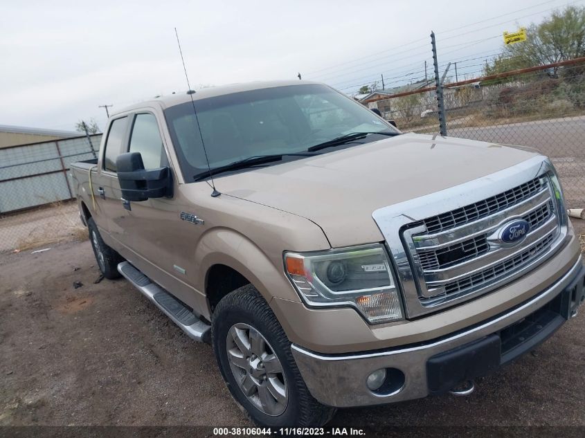 2014 FORD F-150 XL/XLT/FX4/LARIAT - 1FTFW1ET3EKF29066