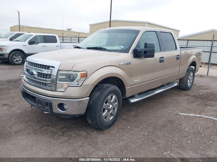 2014 FORD F-150 XL/XLT/FX4/LARIAT - 1FTFW1ET3EKF29066