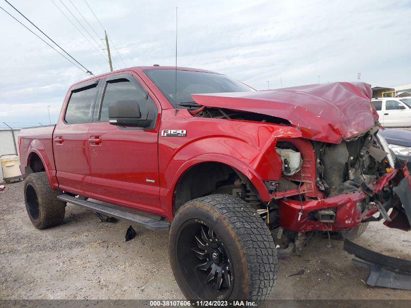 2015 FORD F-150 XLT - 1FTEW1EG1FKF13111