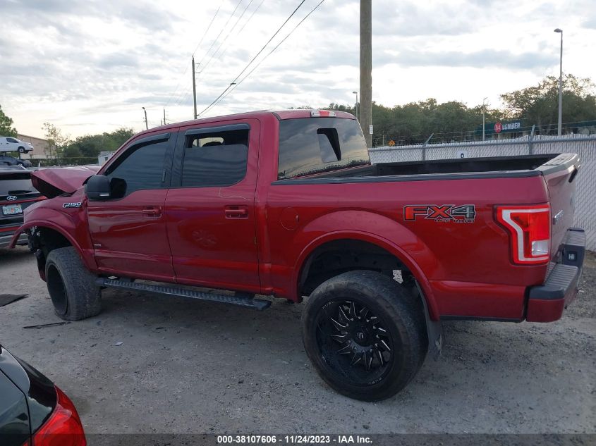 2015 FORD F-150 XLT - 1FTEW1EG1FKF13111