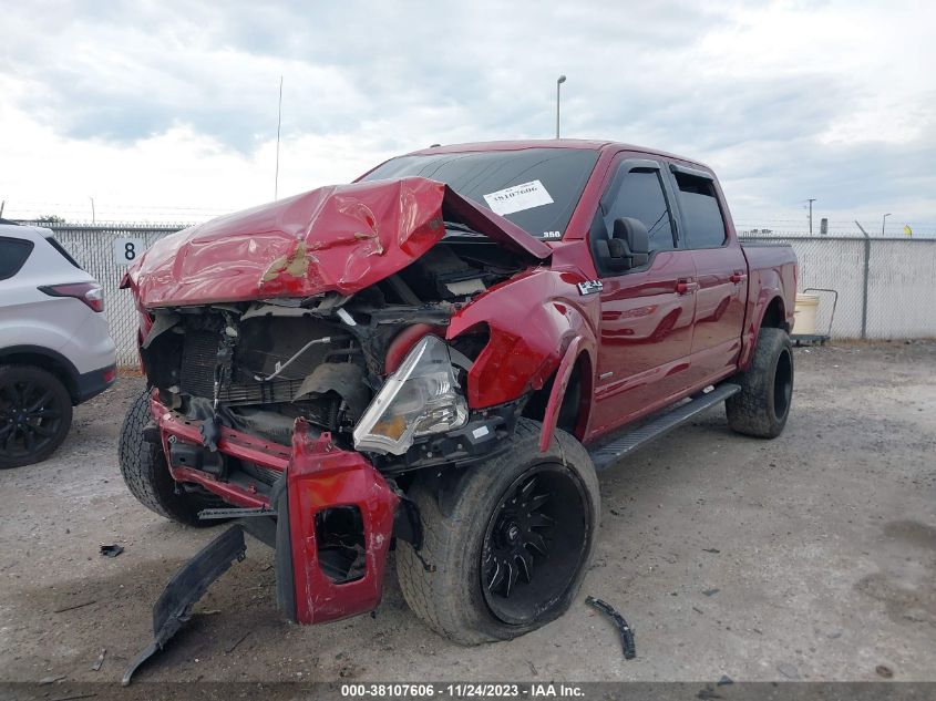 2015 FORD F-150 XLT - 1FTEW1EG1FKF13111
