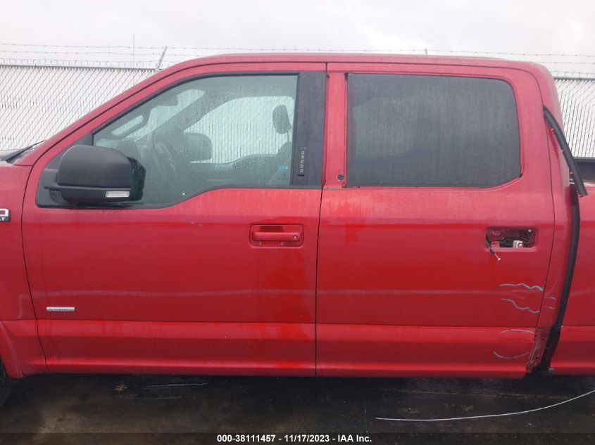 2015 FORD F-150 XLT - 1FTFW1EG0FKD89272