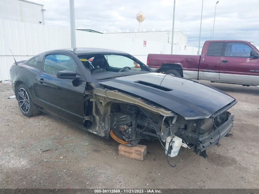 1ZVBP8CF6D5284419 2013 FORD MUSTANG - Image 1