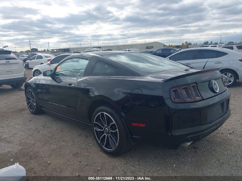 1ZVBP8CF6D5284419 2013 FORD MUSTANG, photo no. 3